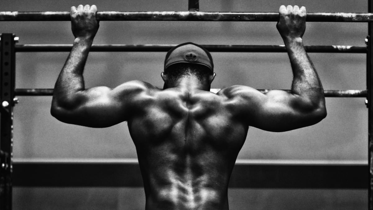 Bodyweight exercises for hotsell back and shoulders