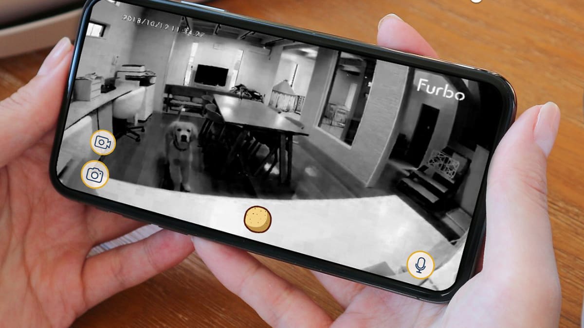 Furbo dog camera for sale deals