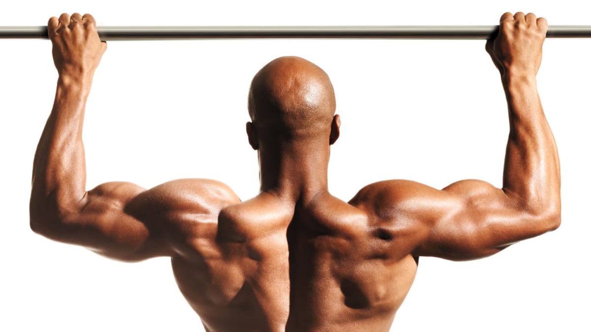 Back traps biceps best sale workout