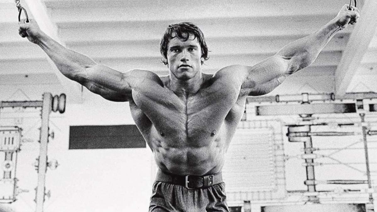 Arnold schwarzenegger training split new arrivals