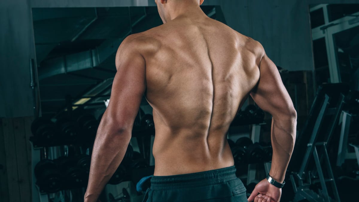 Muscle building back exercises clearance