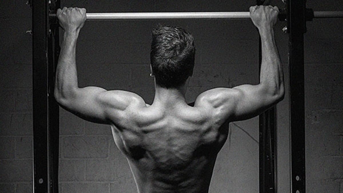 Pull up bar outlet workouts