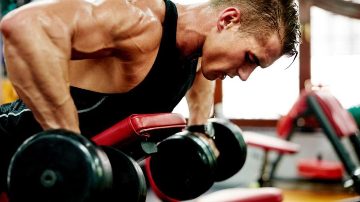 Quick muscle building workout deals