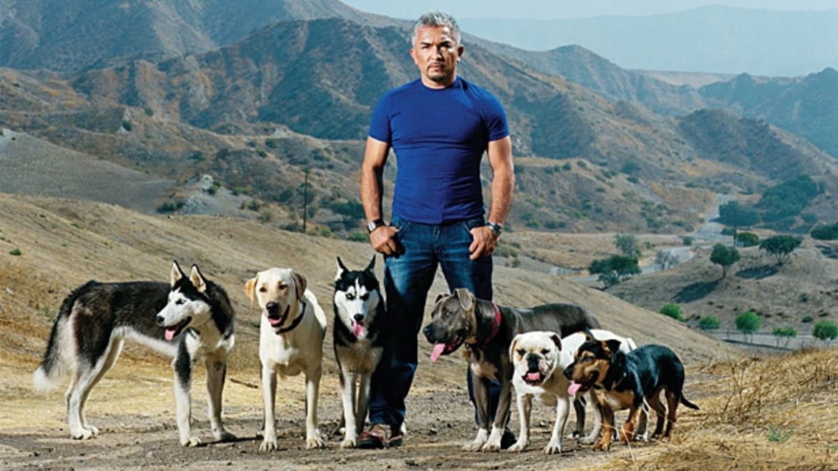 Rescuing Cesar Millan Men s Journal