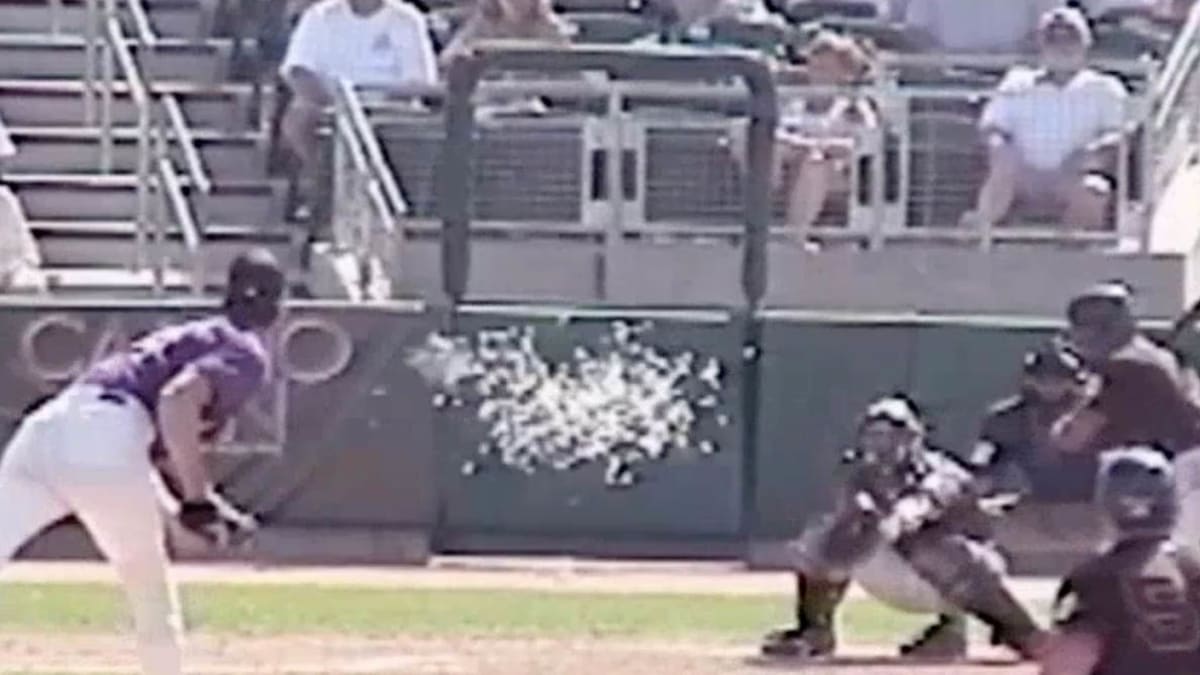 Fit Fix 15 Years Ago Today Randy Johnson Obliterated a Bird With