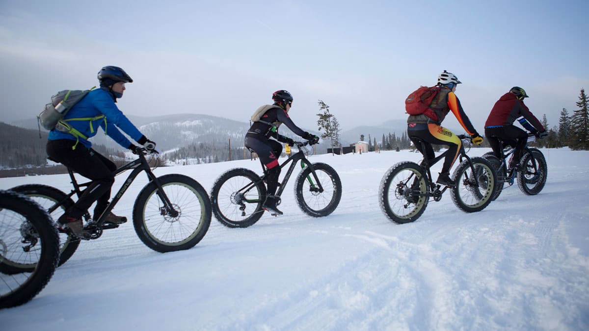 Fat biking new arrivals
