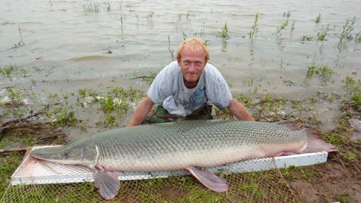254 pound alligator gar is the largest fish ever caught in Oklahoma Men s Journal