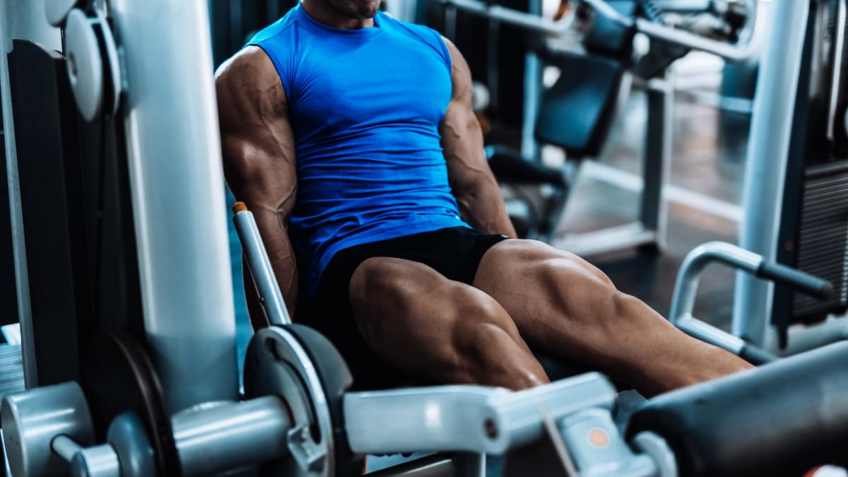 Leg extensions quads discount