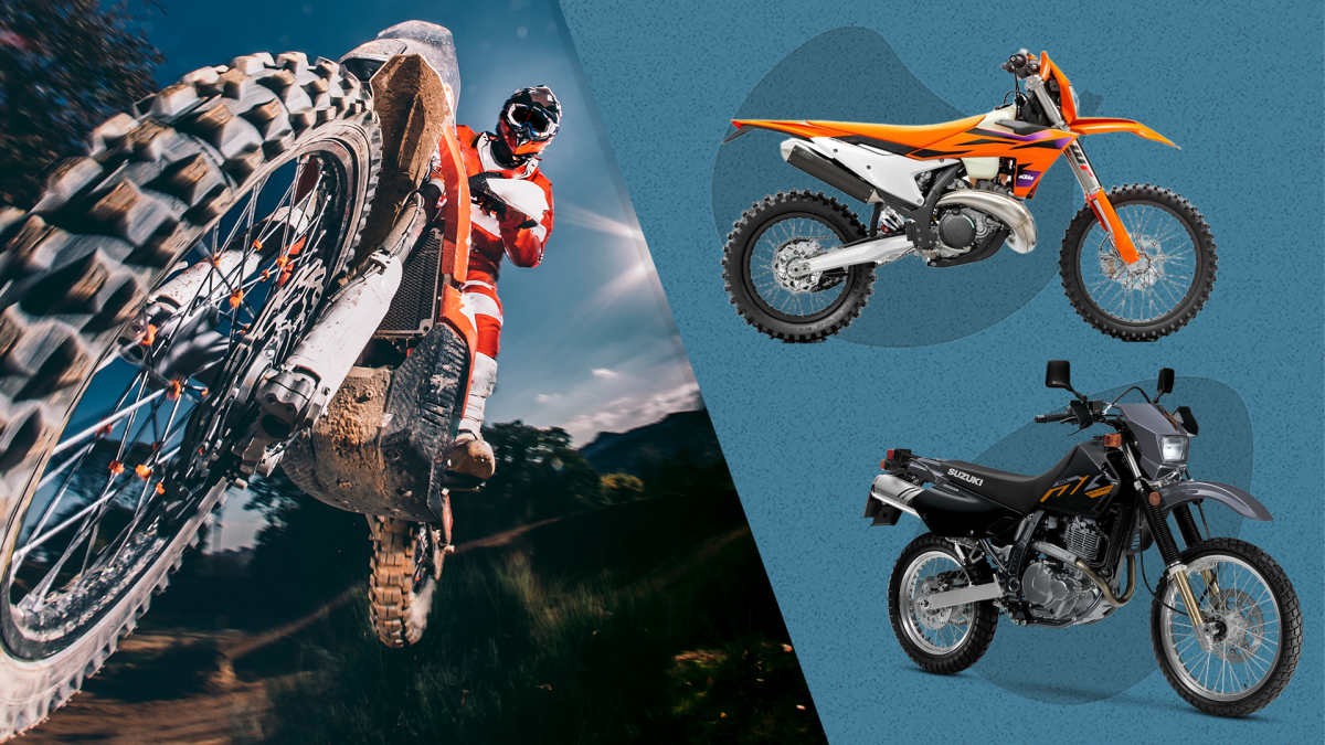 Best enduro for the money outlet