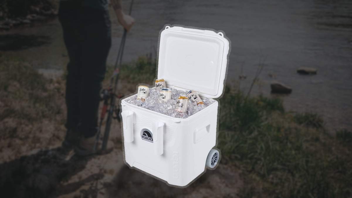 Igloo 2025 fish cooler