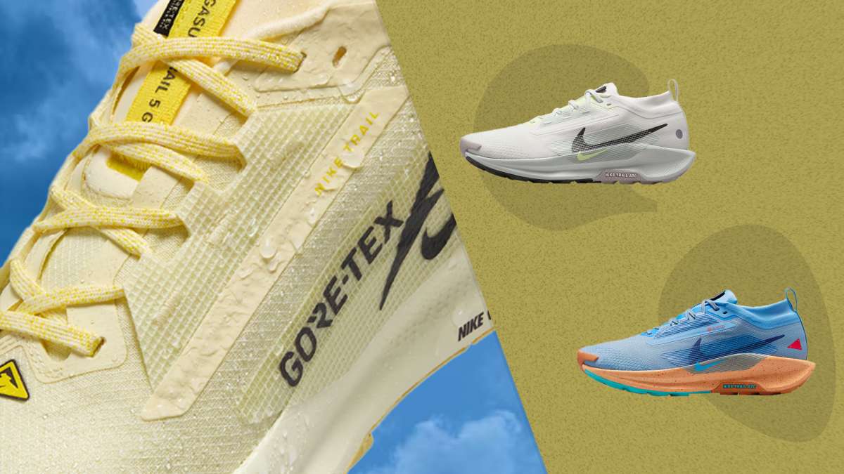 pegasus-trail-5-goretex-nike-