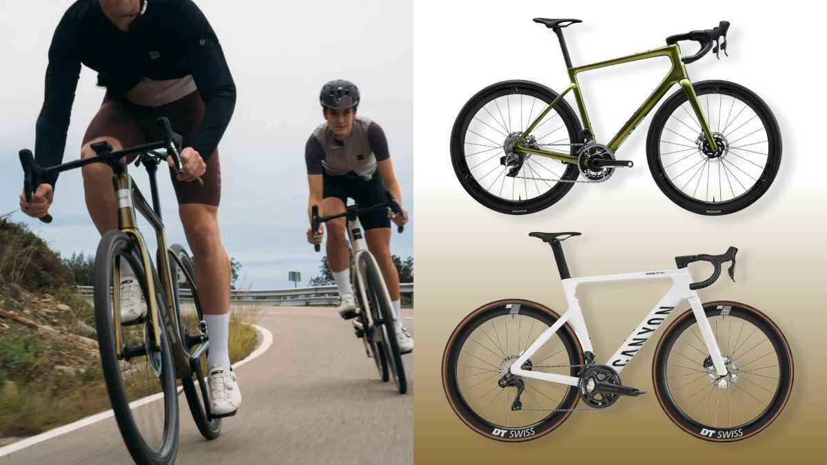 Best road frameset clearance