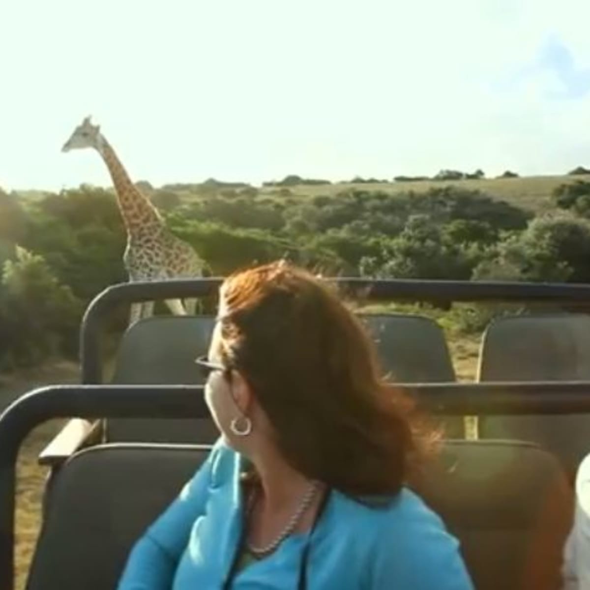 Giraffe attacks jeep safari in South Africa - Men's Journal Giraffe attacks jeep safari in South Africa - Men's Journal