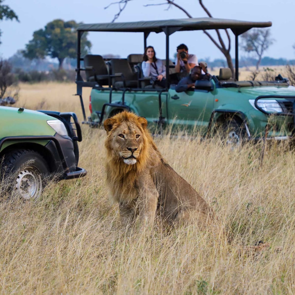 Luxury Tanzania Safari Tours & Adventures — Wander Africa