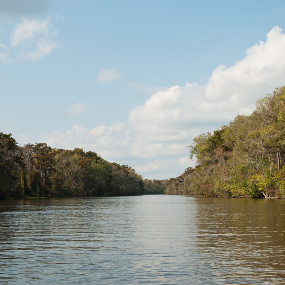 Pearl River Basin, with a Glide paddle board you can go anywhere use anything and do anything not just what's in this short list paddle board, speckled trout, bayou segnette state park, lake pontchartrain, fishing community, barataria preserve trails, sup fishing, bayou bartholomew, longest bayou, paddle boards, central louisiana, major commerce waterway, bayou lafourche, new orleans, paddleboard rentals, state park, water sports, fishing, average depth, louisiana, morehouse parish, new paddlers, paddle, lake, fish, bayou, scenic views, paddling, anglers, boating, skill levels, kayak, boats, explore, swamps, park, bayous, stand, fun, land, paddlers, marshes, trip, redfish, alligators, orleans, city, longest main street, shore, forests, paddleboard, river, tours, adventure, gulf, located, board, trails, beach, arkansas, mexico, island, scenic, animals.