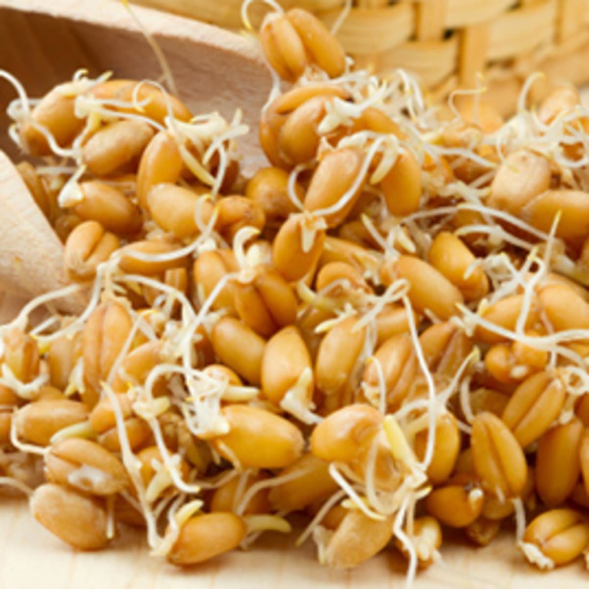 Should You Be Eating Sprouted Grains? - Men's Journal
