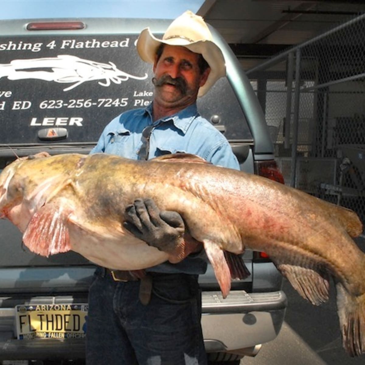 Angler's 76.52-pound flathead is heaviest fish ever landed in Arizona -  Men's Journal