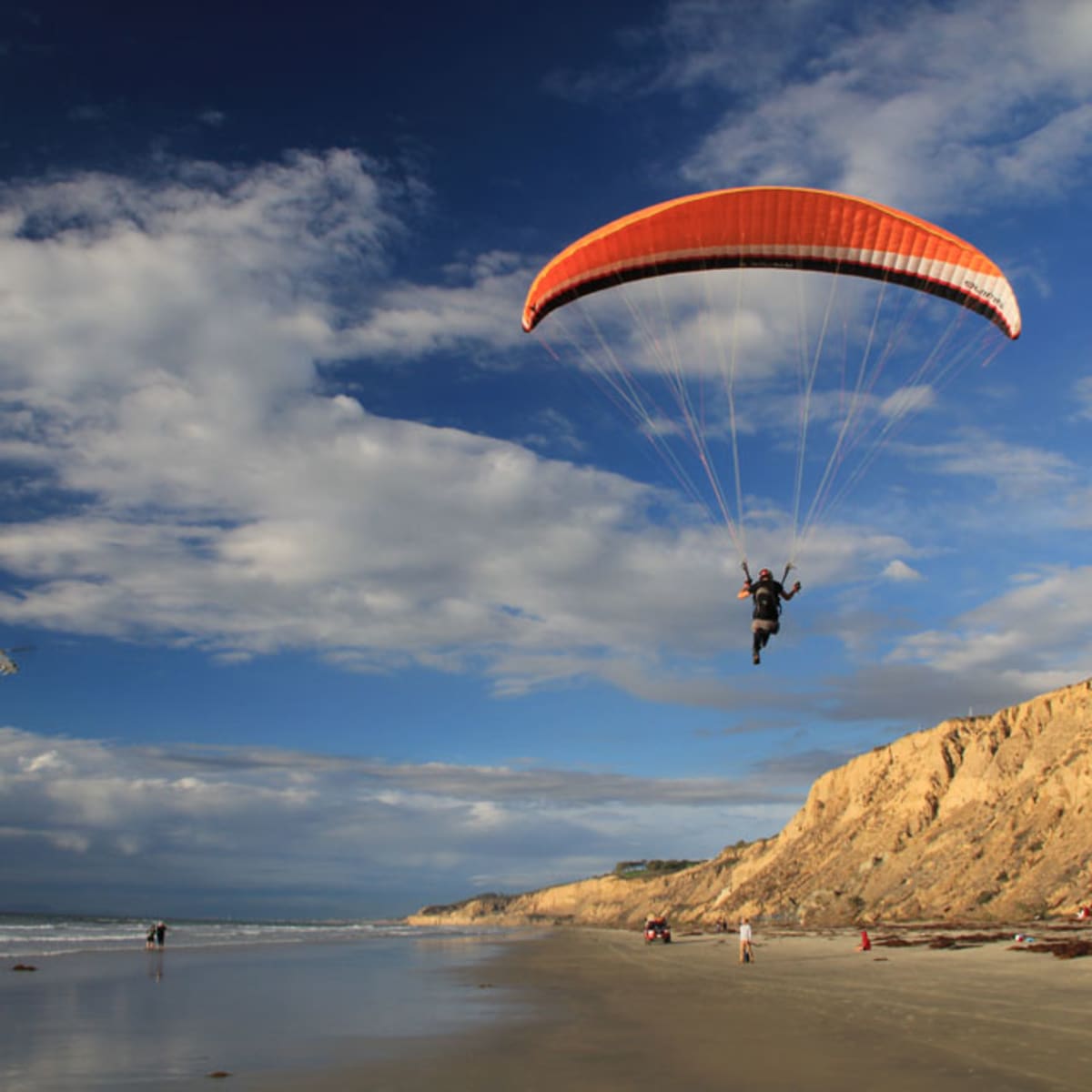 Paraglide and go naked at Torrey Pines State Beach - Men's Journal