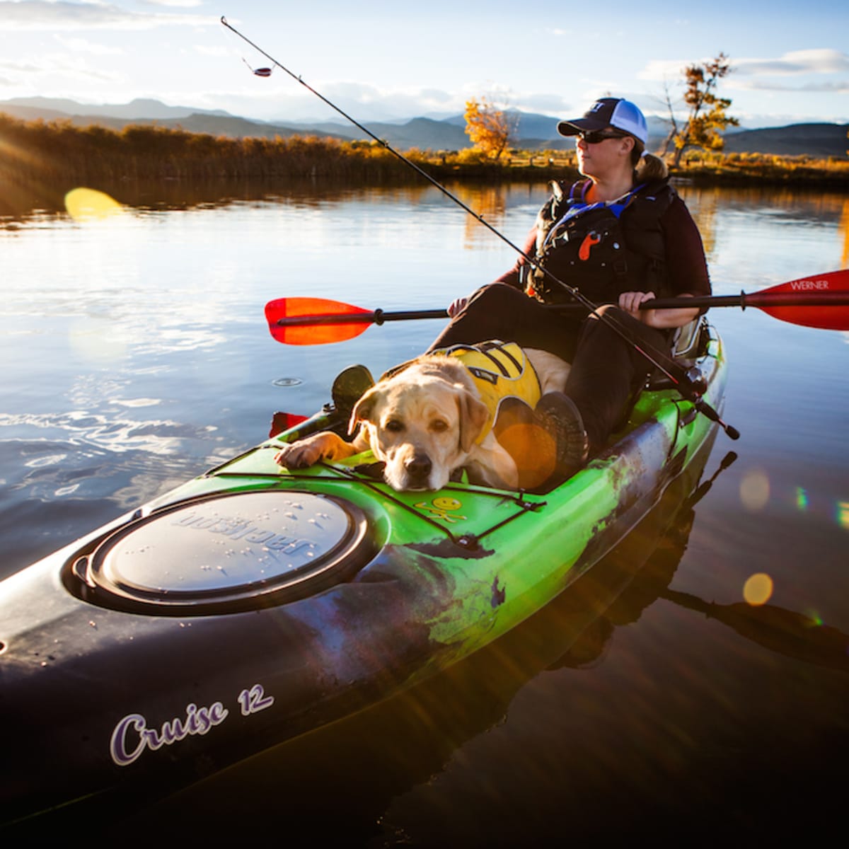 Dog Paddling: 6 Tips to Take Your Pooch Canoeing, Kayaking or