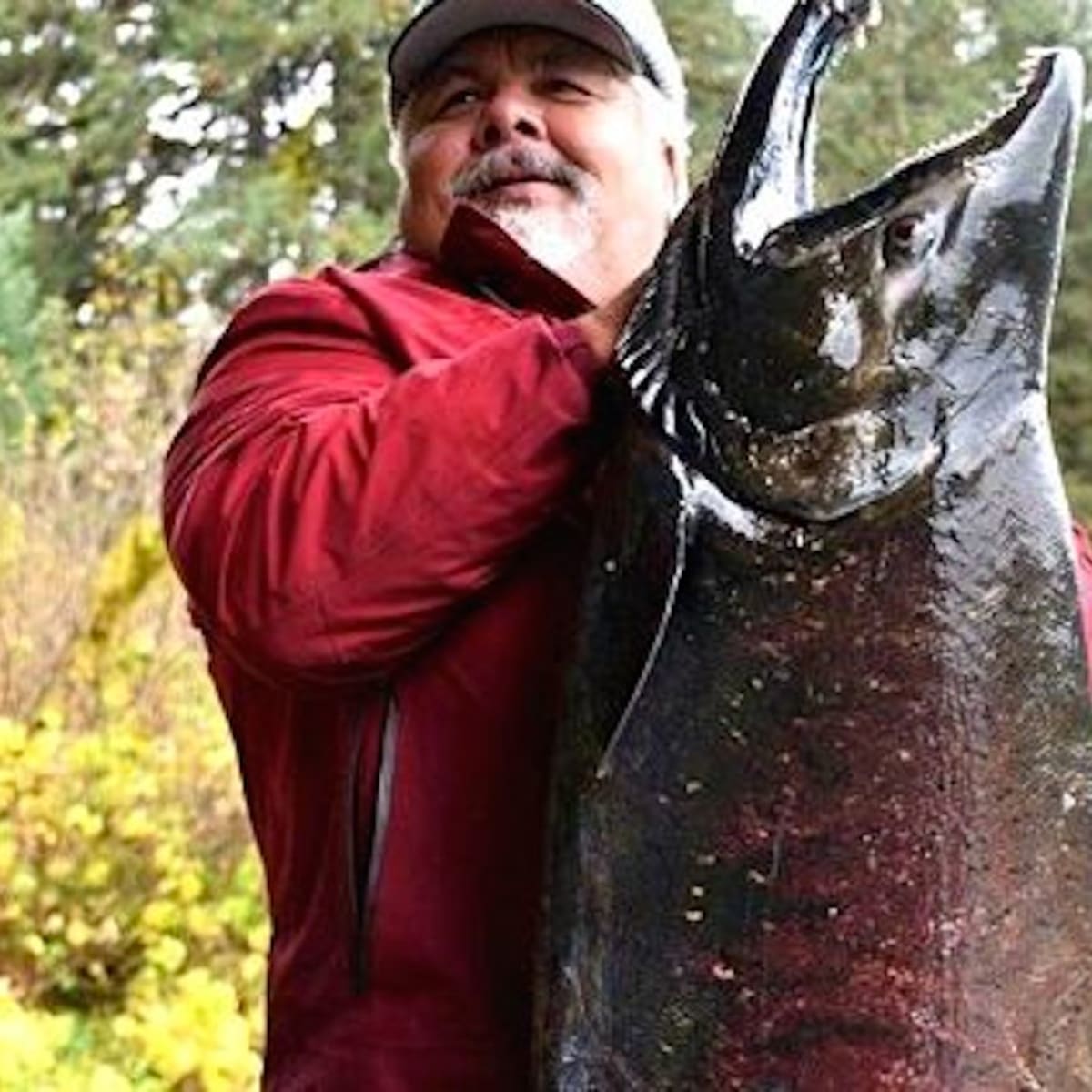 Huge Chinook salmon intercepted swimming upriver is one for the ages -  Men's Journal