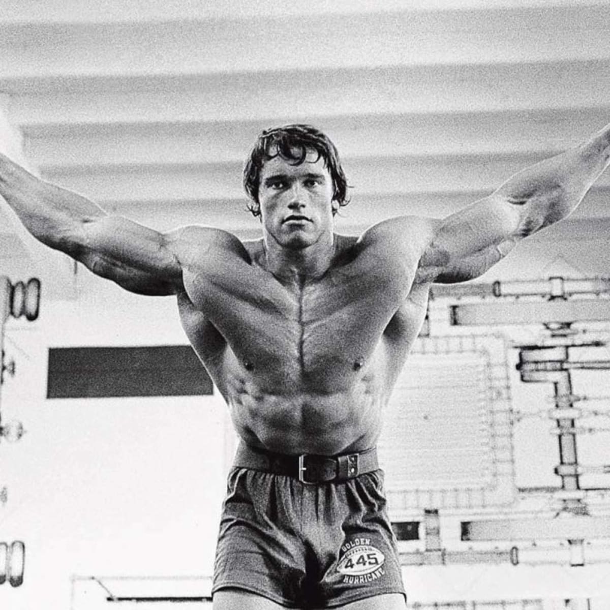 Body of Work: The Complete Evolution of Arnold - Muscle & Fitness