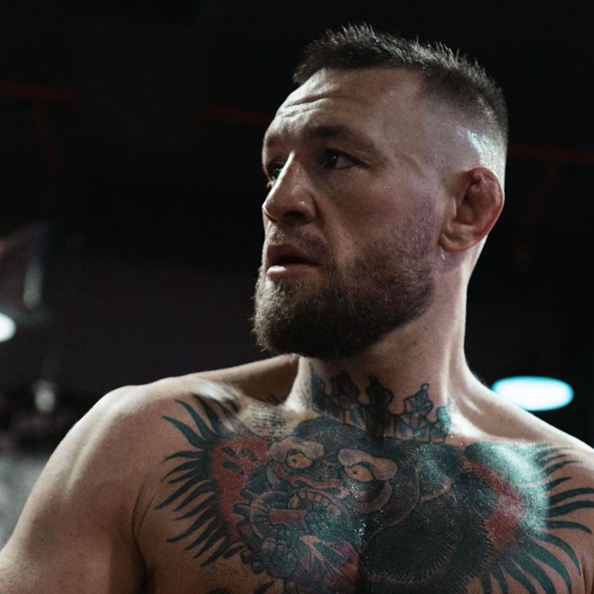 How Conor McGregor Is Training for His Next Big Fight