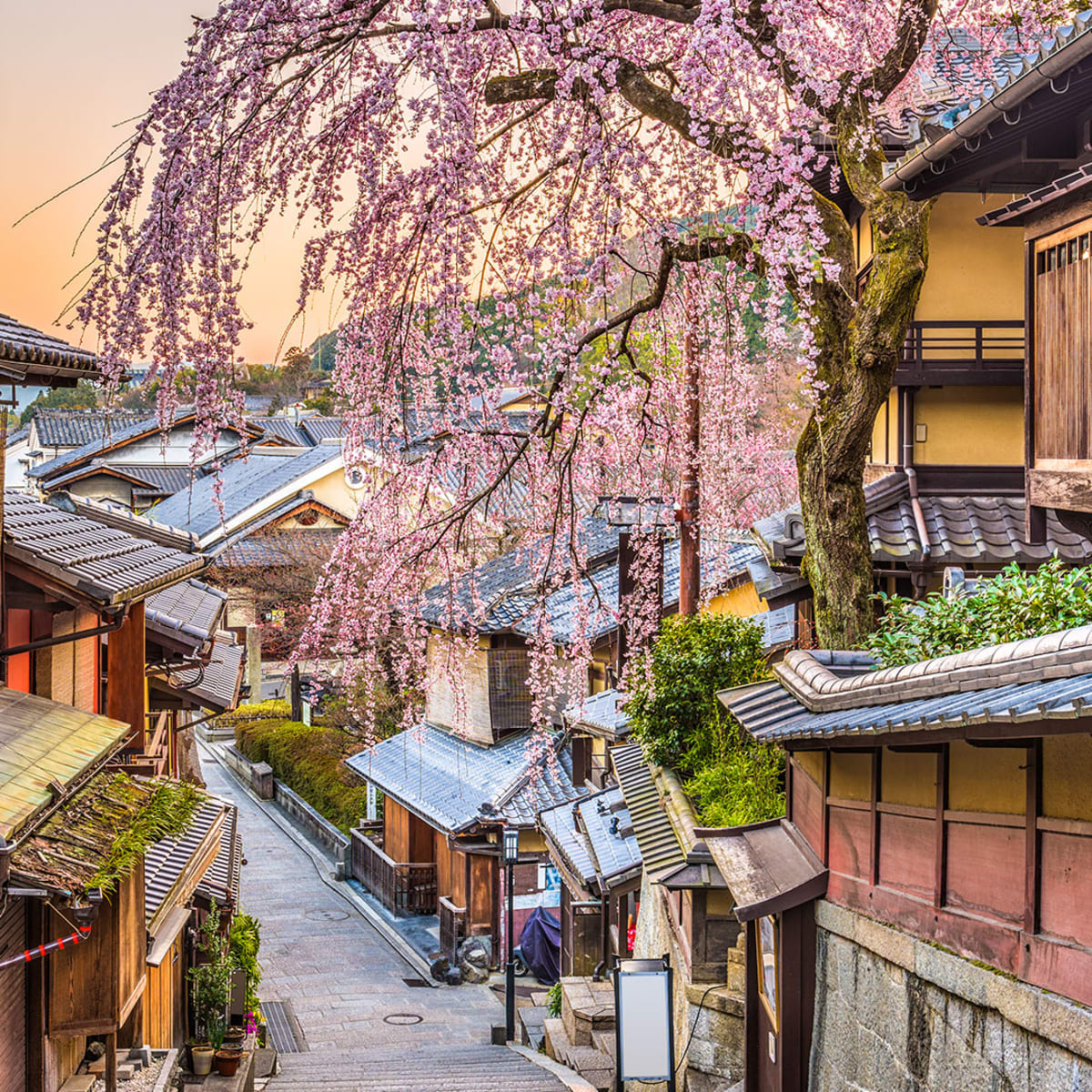 Kyoto sweet 18