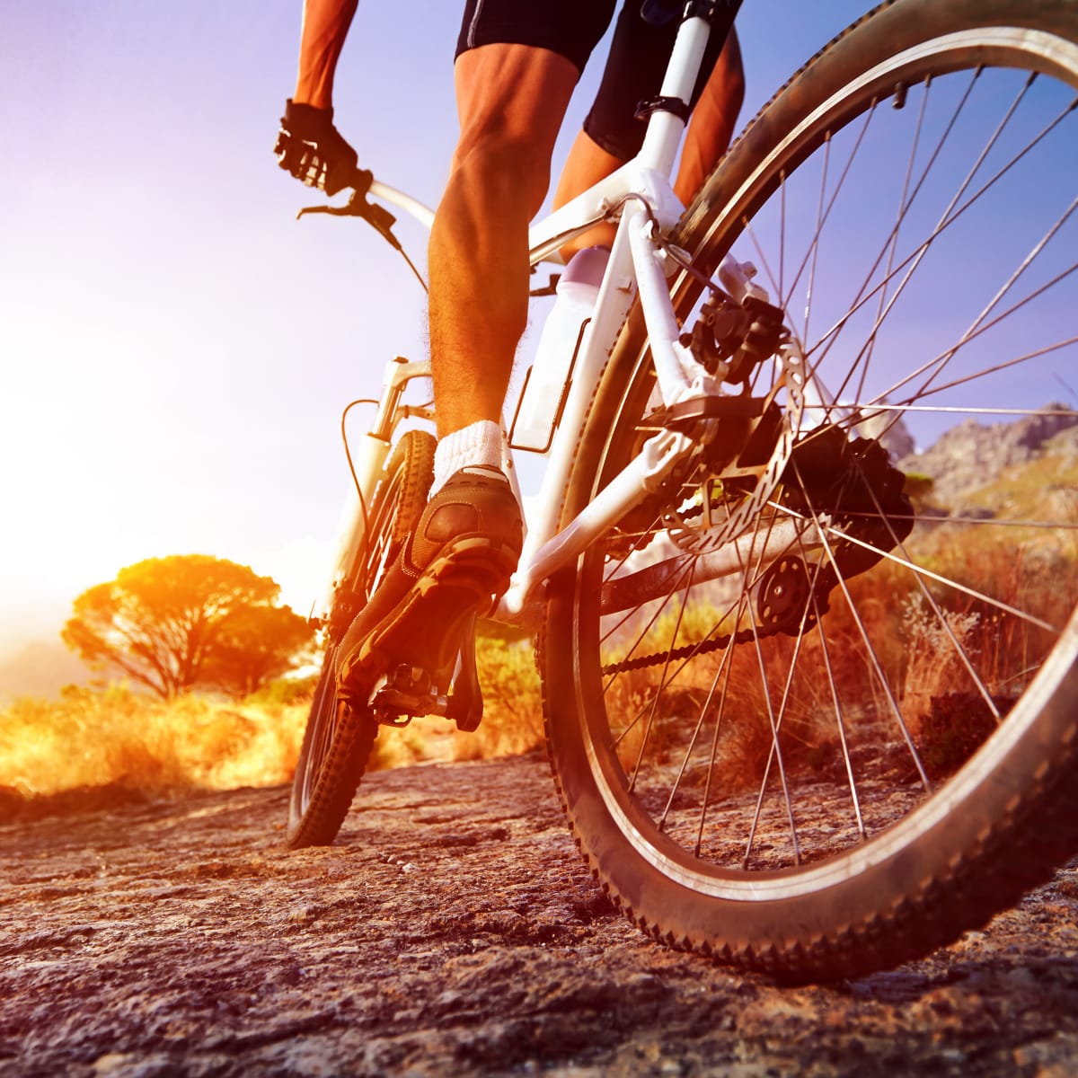 durable cheap mountain bikes