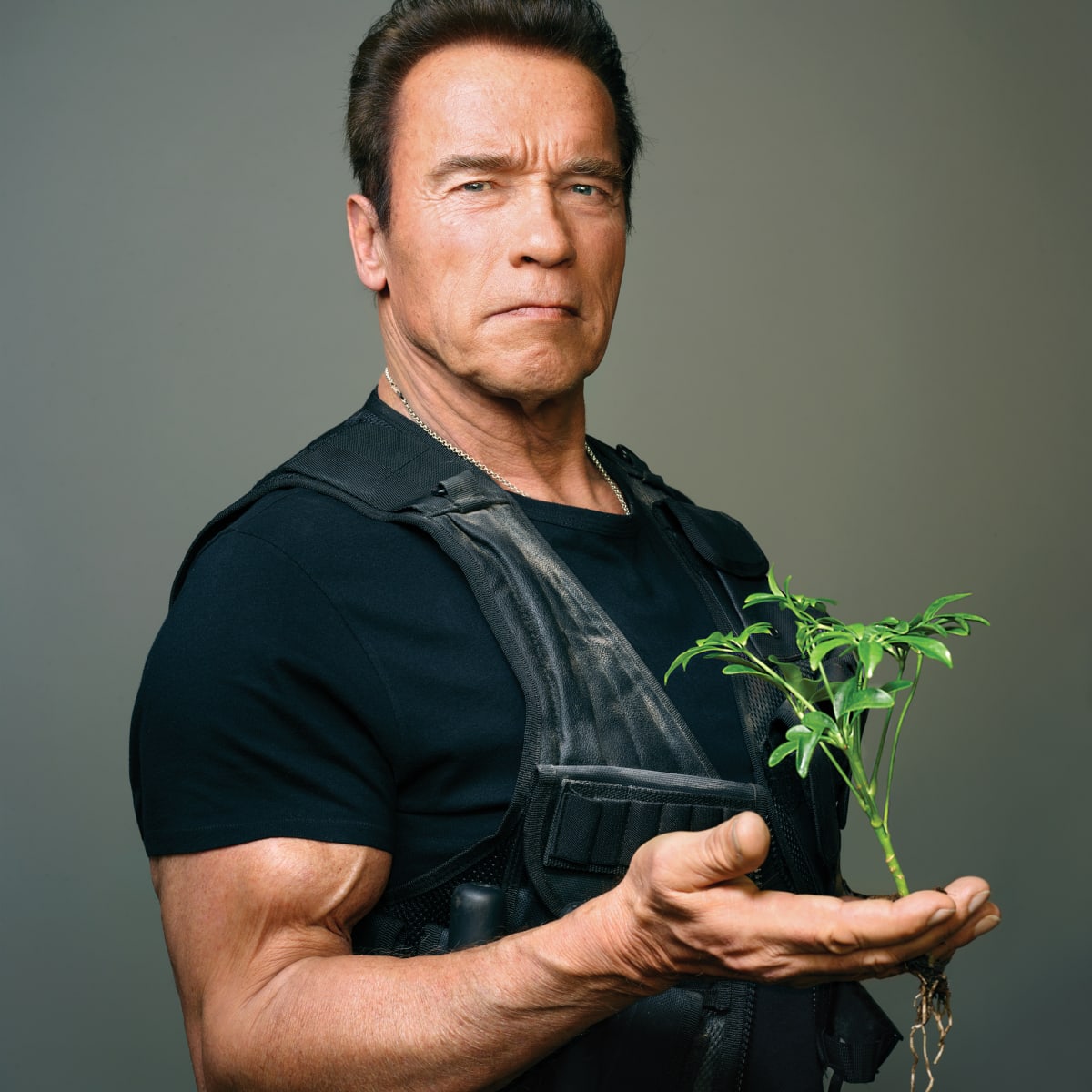 Arnold Schwarzenegger Tank Top - Shop our Wide Selection for 2023