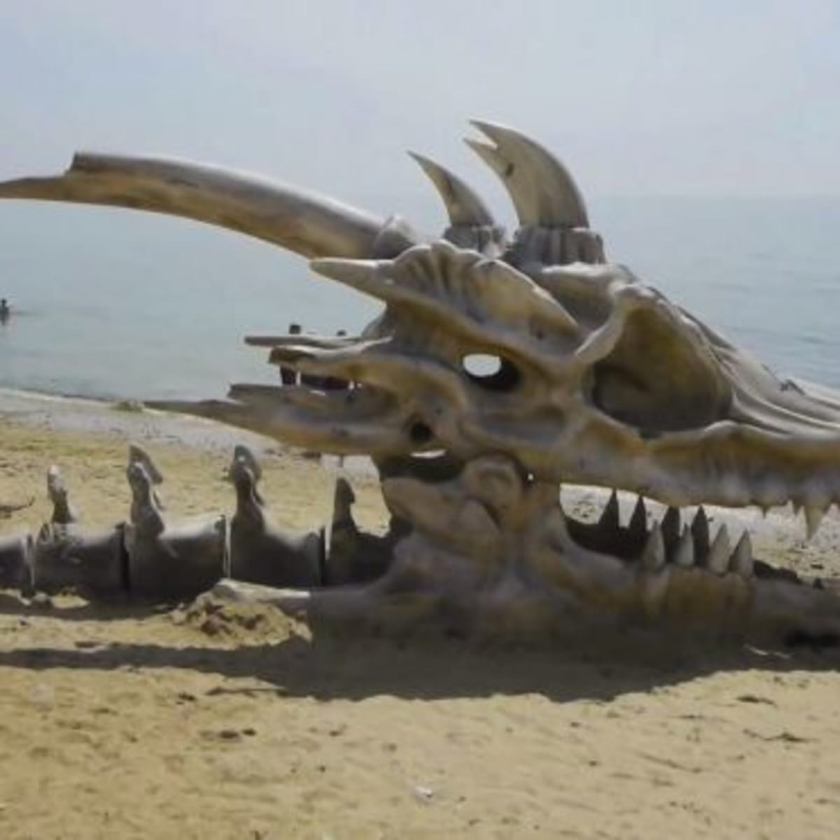 Cráneo de dragón gigante descubierto en una playa británica - Men's Journal