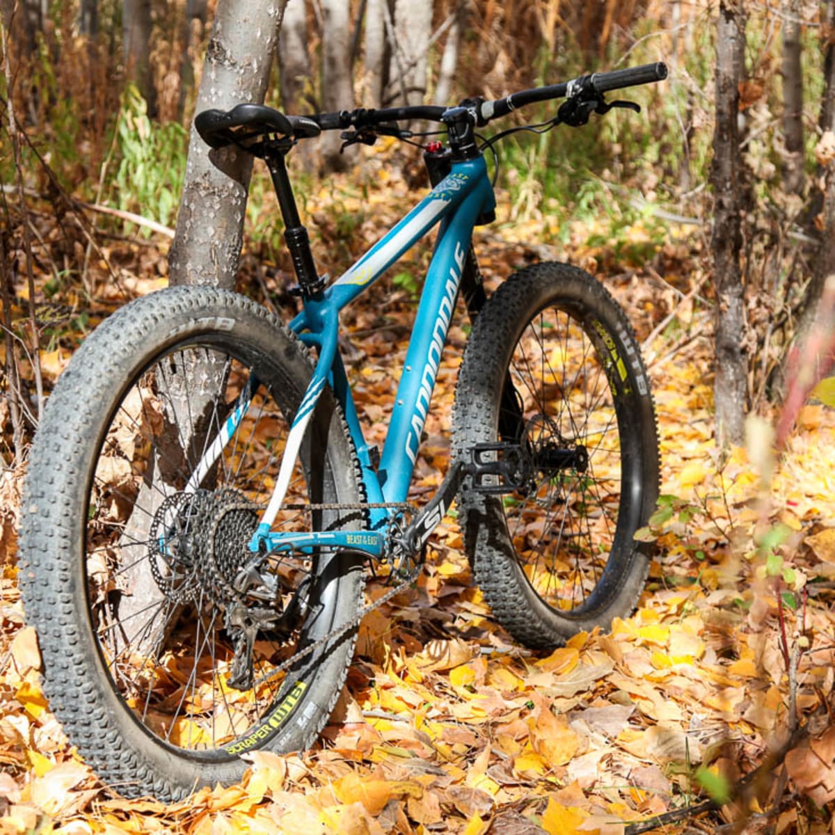 cannondale east of the beast