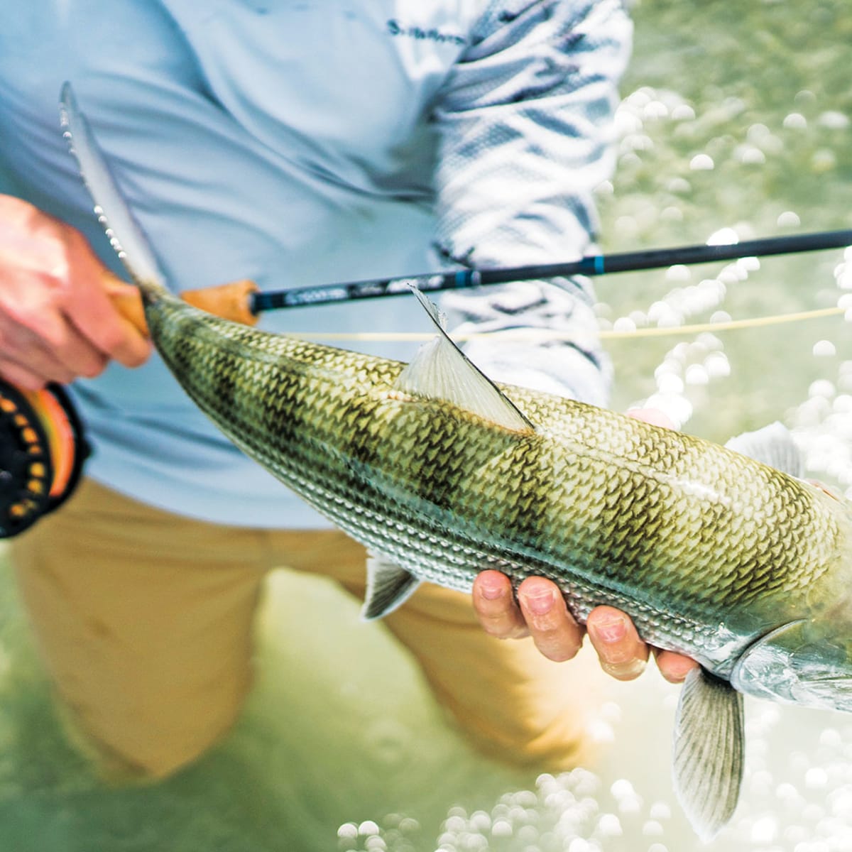 Best Saltwater Fly-fishing Gear to Reel in Tough Fish