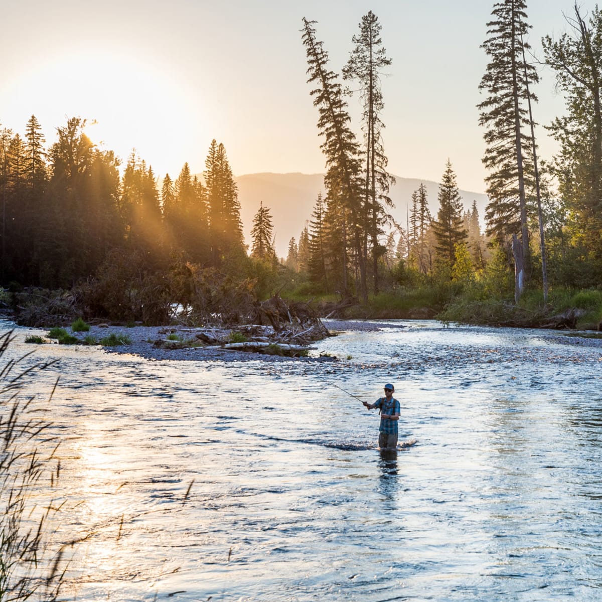 Gallatin River Learn to Fly Fish Montana Whitewater