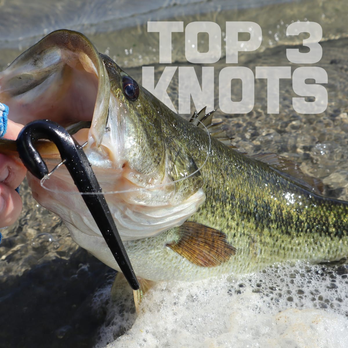 The Three Best Knots For Bass Fishing - Men's Journal