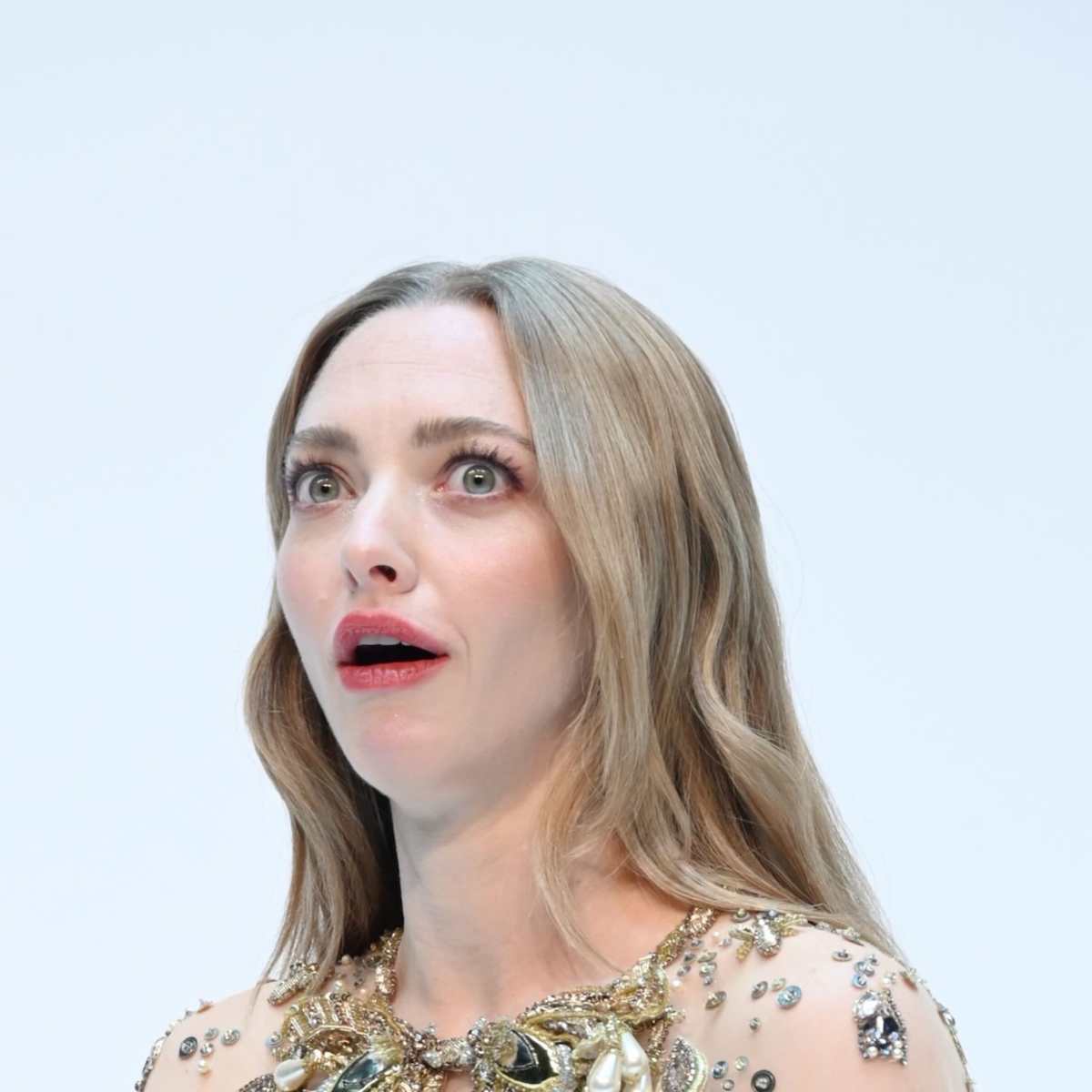 Amanda Seyfried at a fashion event
