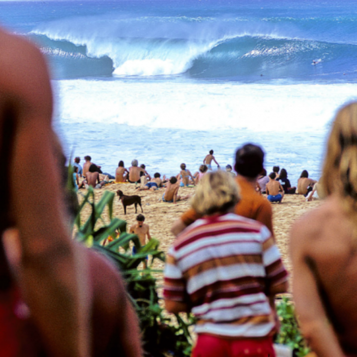 10 of the Best Surf Coffee Table Books You Should Definitely Own