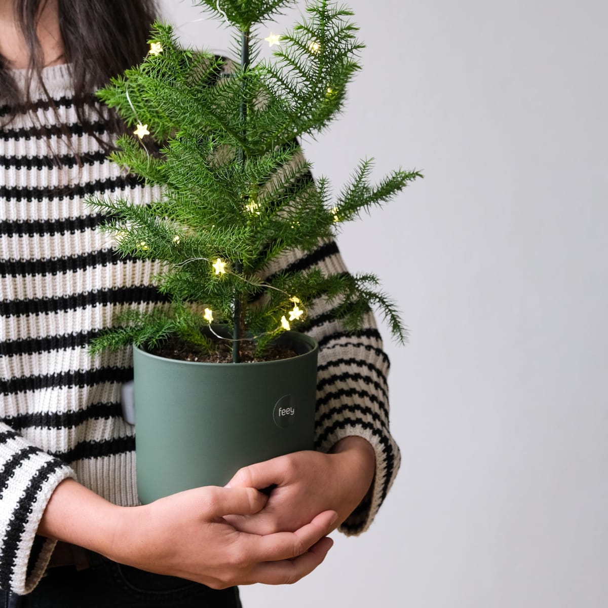 How to Care For a Potted Christmas Tree Men s Journal Home