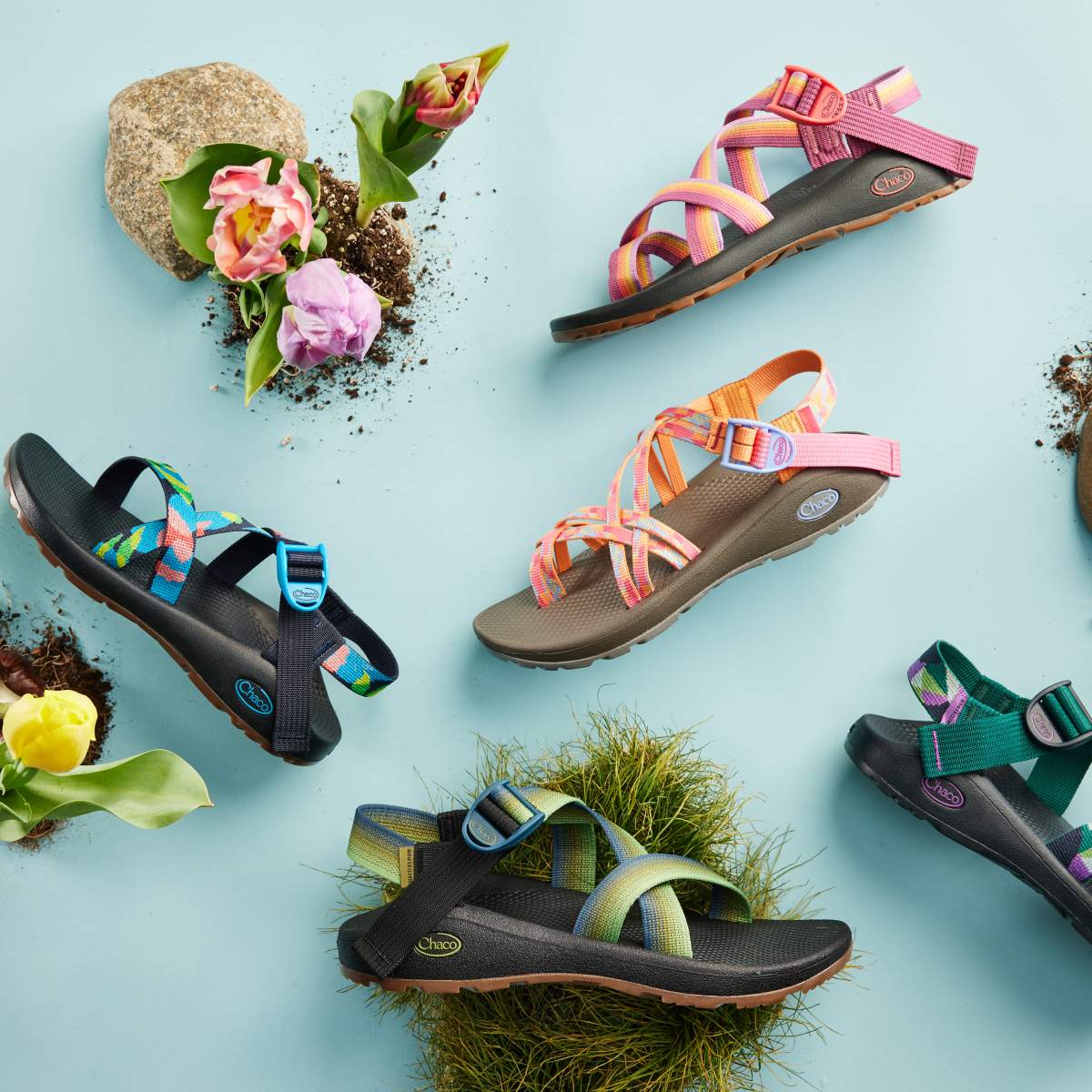 Special hot sale edition chacos