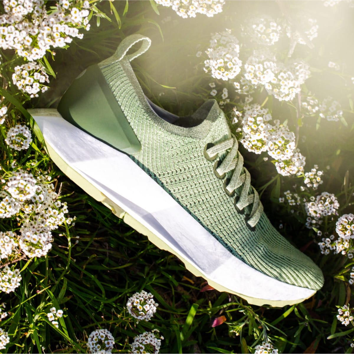 Allbirds shoes support online