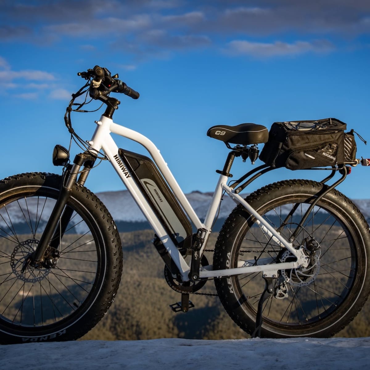 Electric fat shop bike amazon