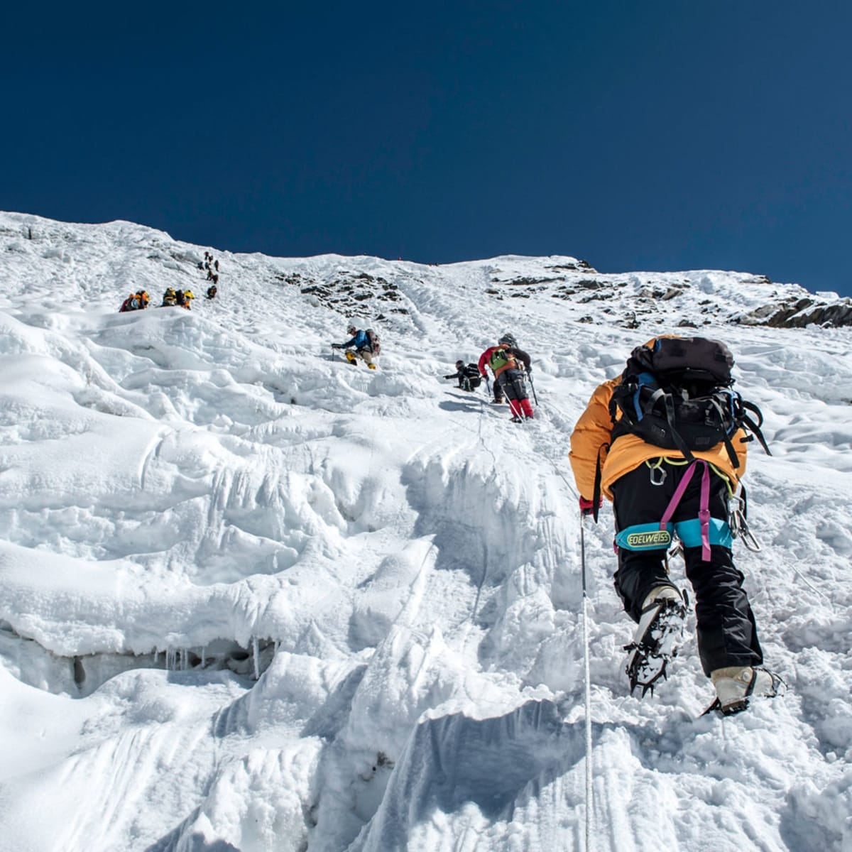 Mountain expedition deals