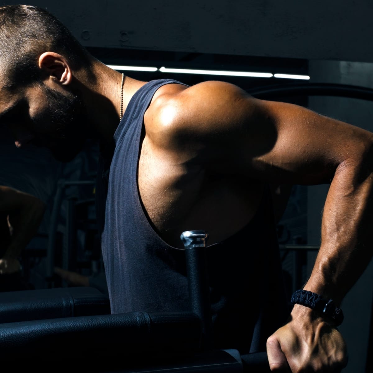 Arms gym online