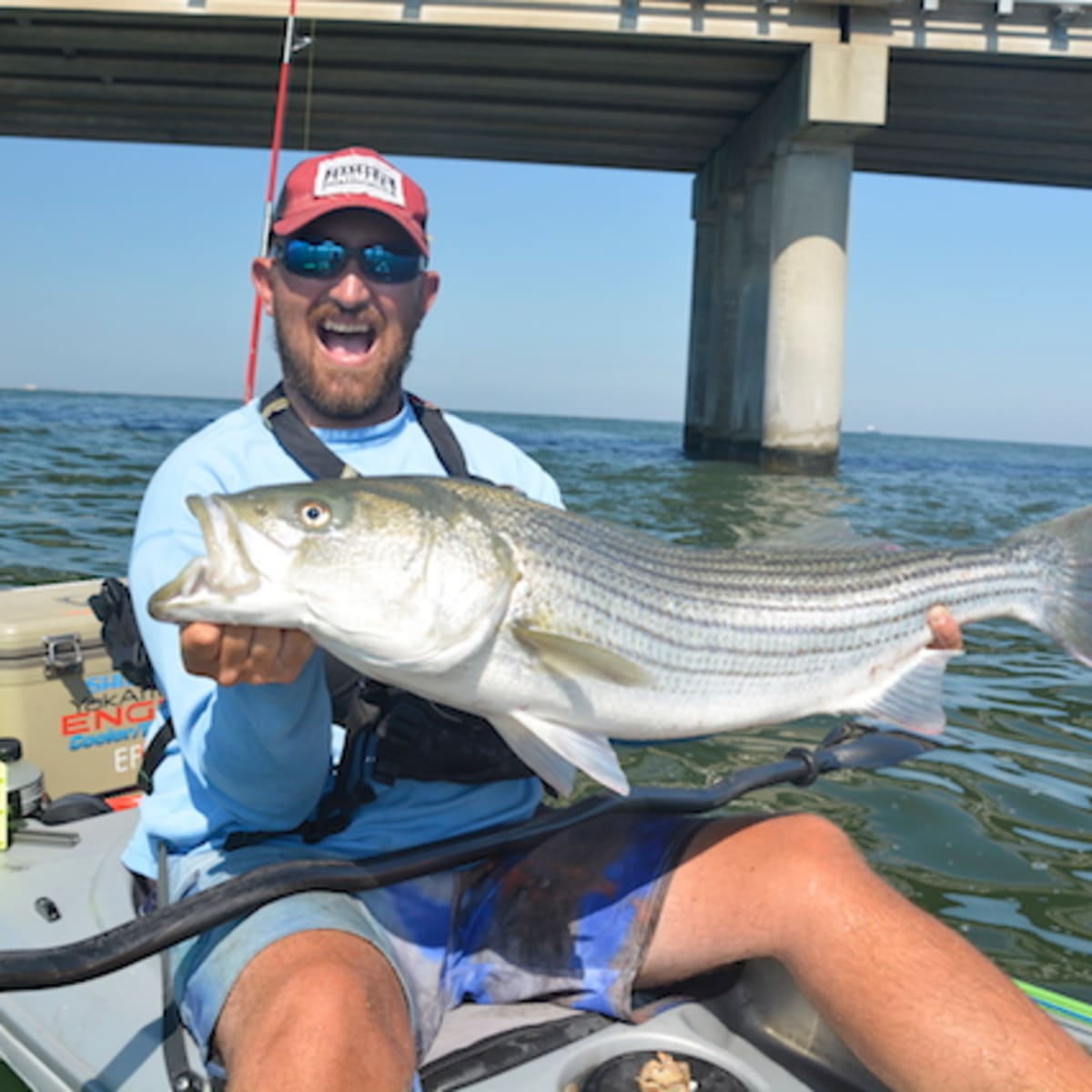 Under armour chesapeake fishing shorts online