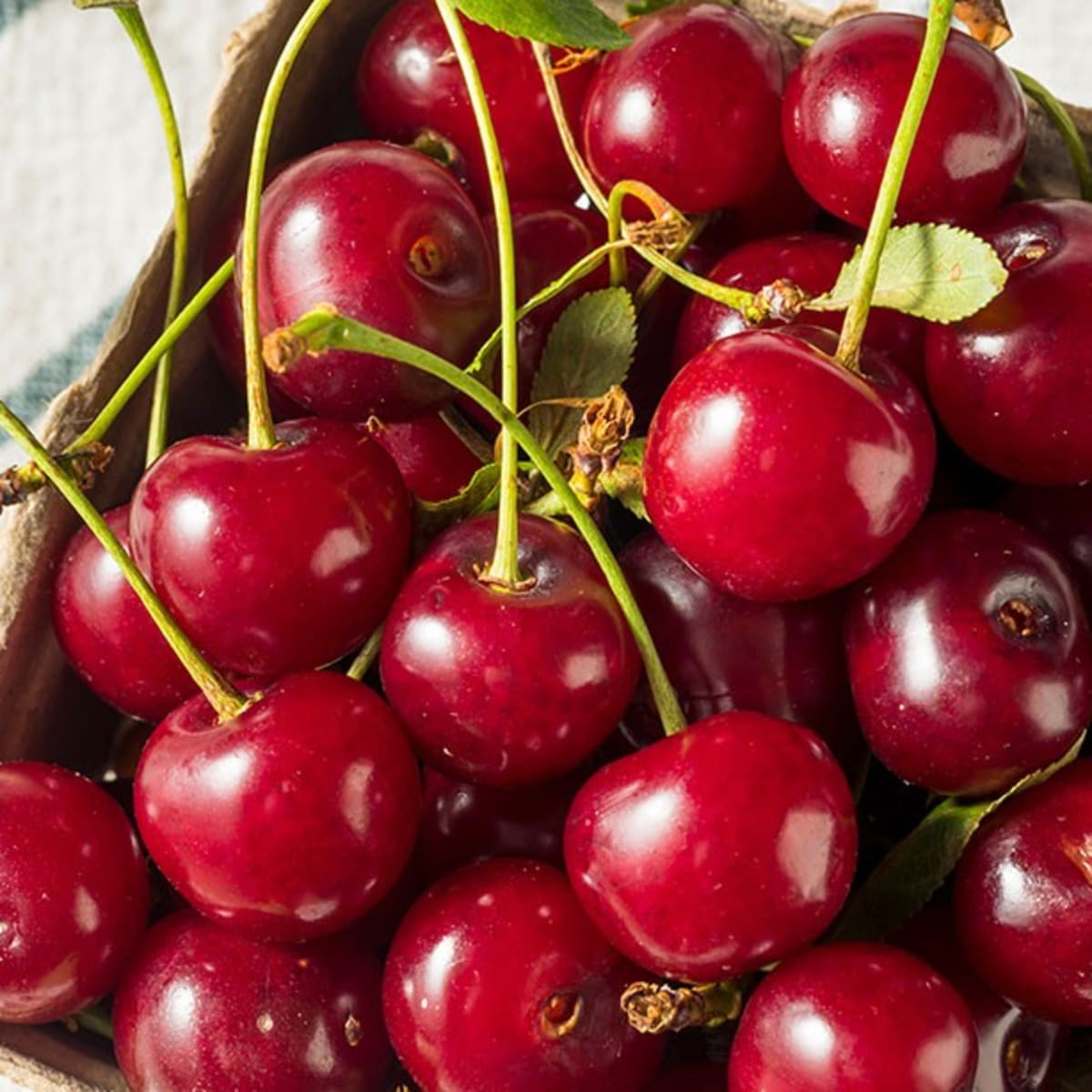 Benefits of store sour cherry