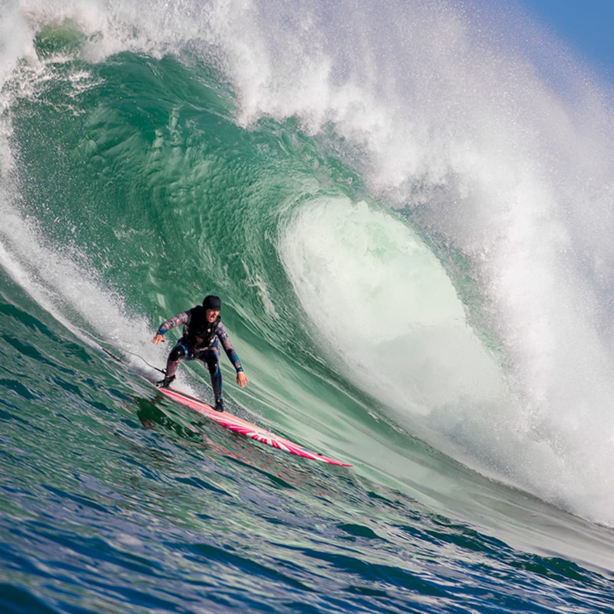 Nelscott reef online
