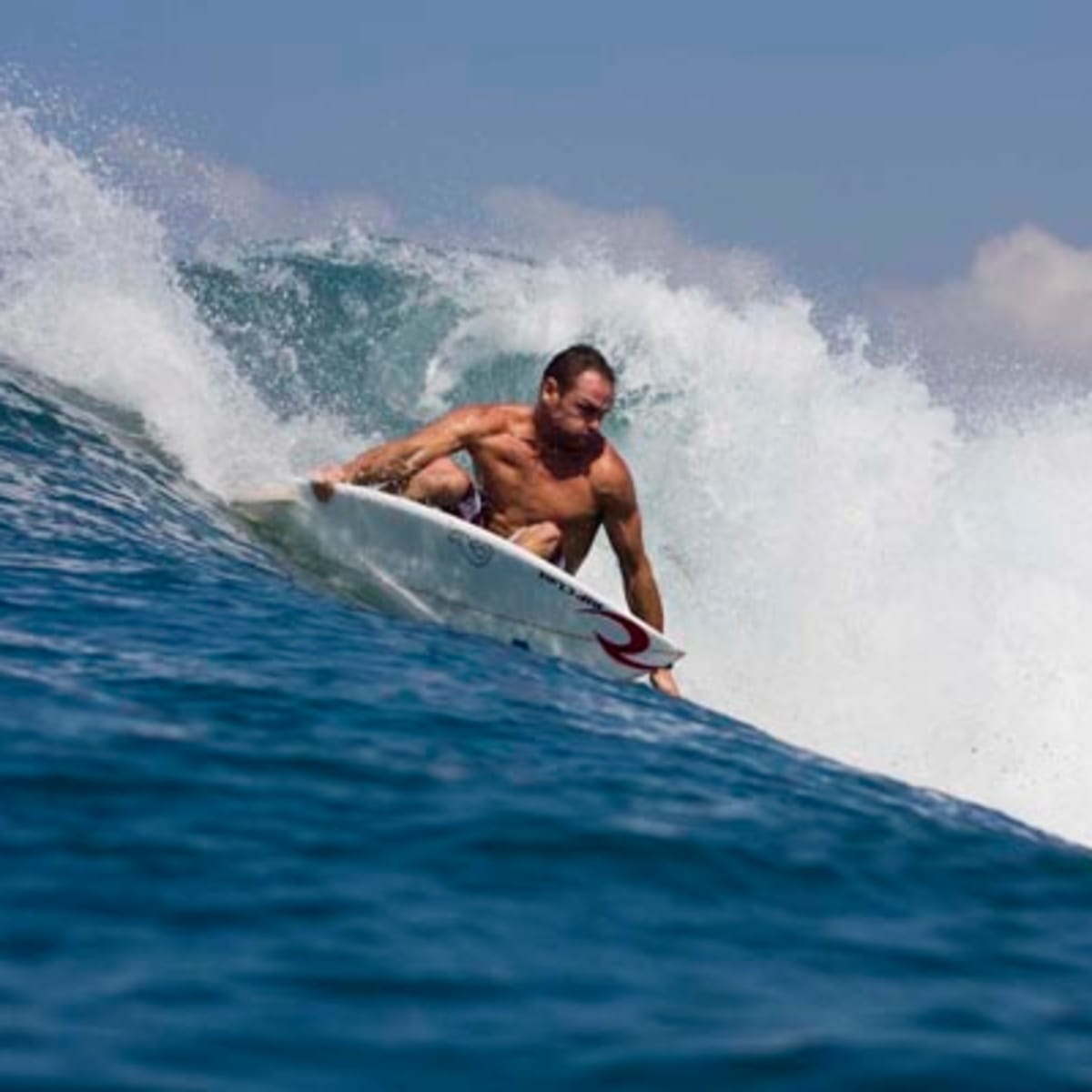 Taylor knox surfing discount