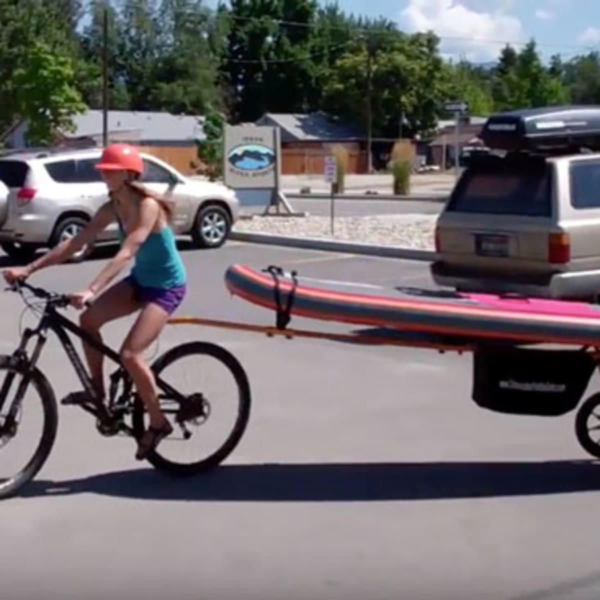 Salamander 2025 bike trailer