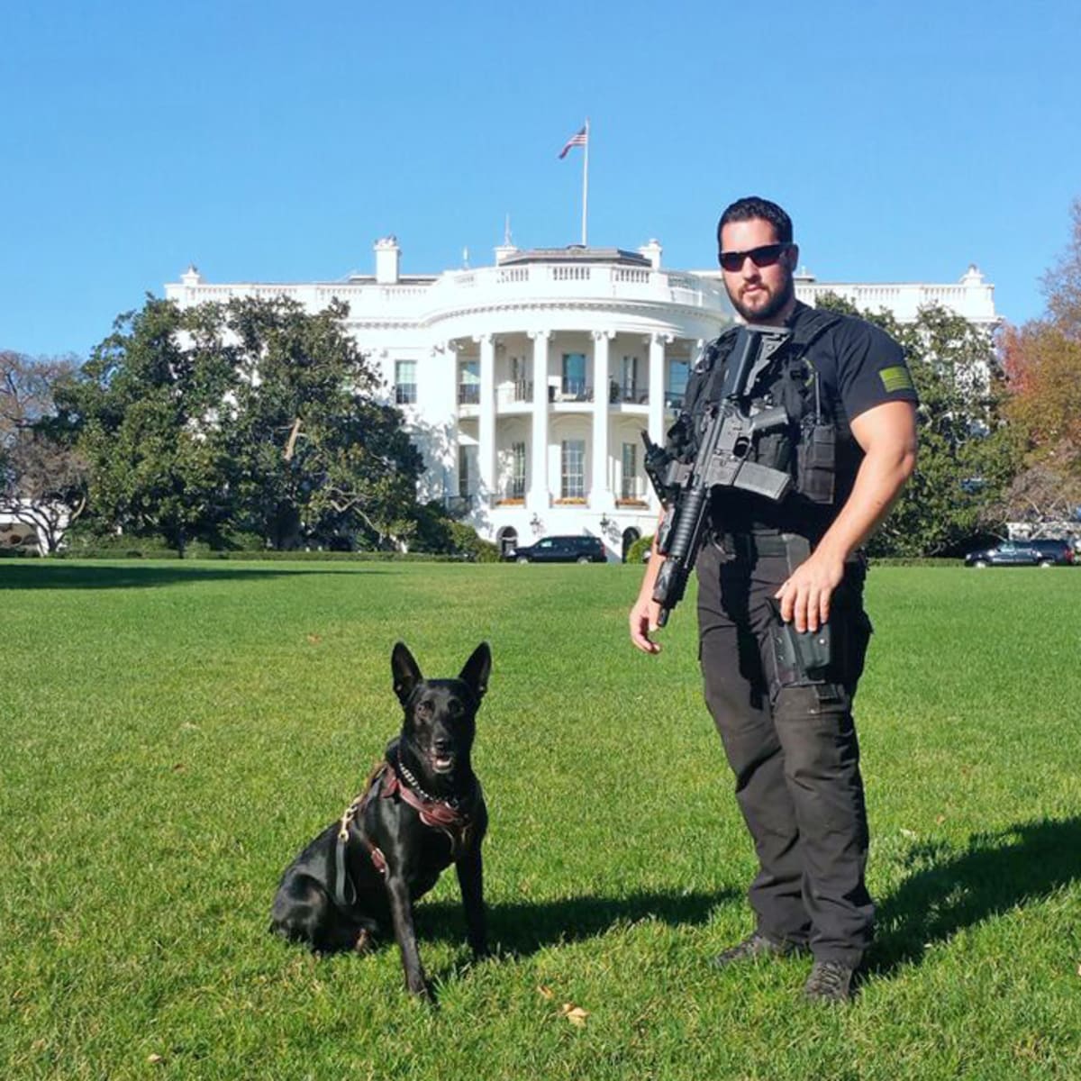 Dogs in the white house on sale