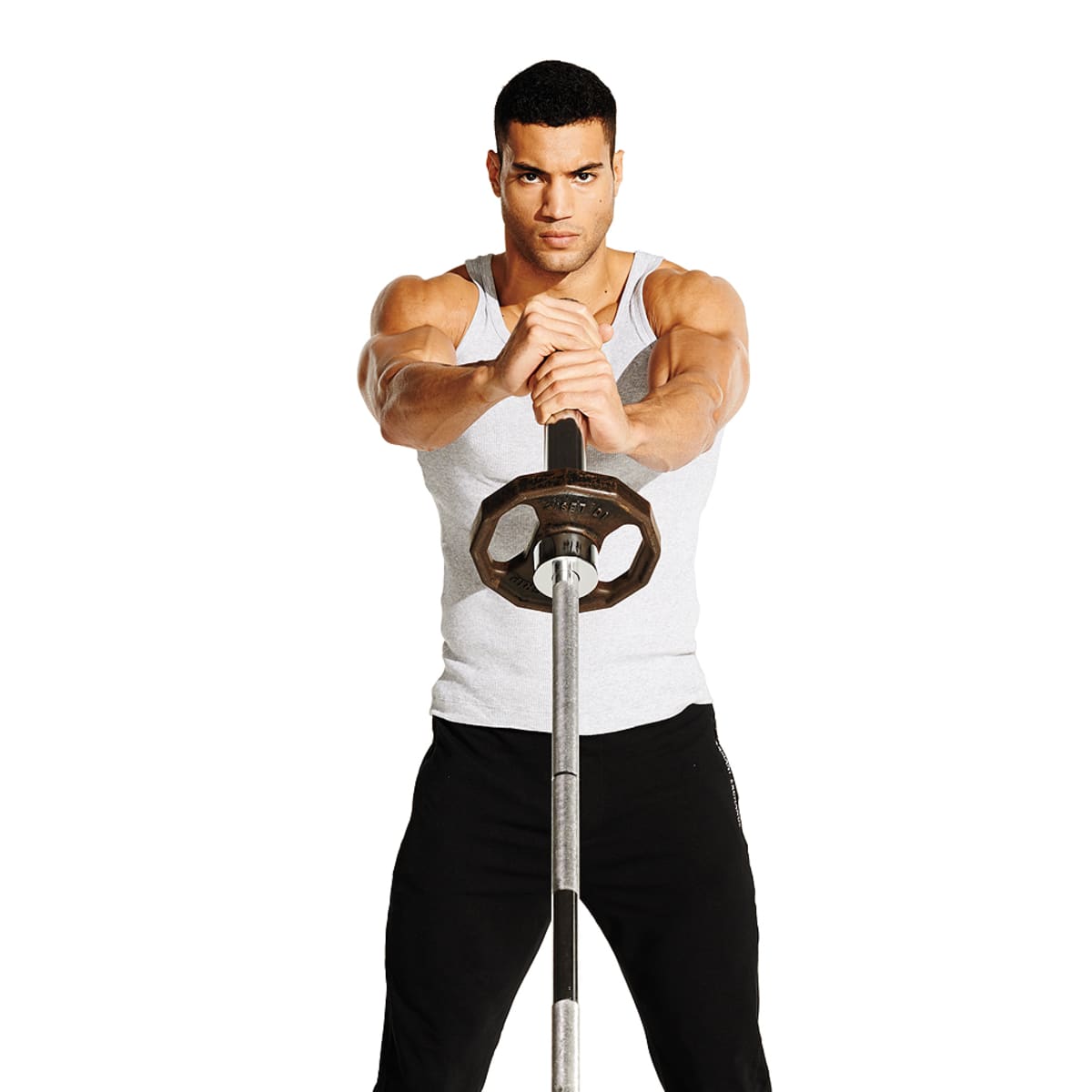 Landmine oblique twist sale