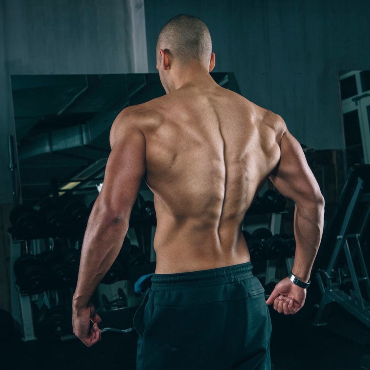 Shoulder building workout discount